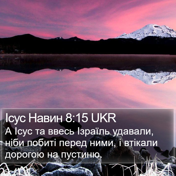 Ісус Навин 8:15 UKR Bible Study