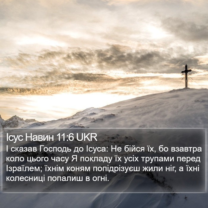 Ісус Навин 11:6 UKR Bible Study