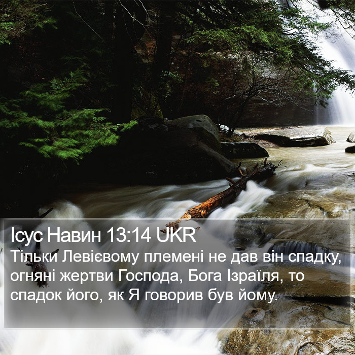 Ісус Навин 13:14 UKR Bible Study