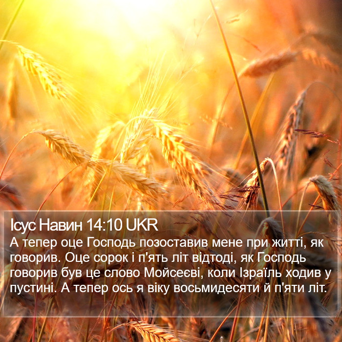 Ісус Навин 14:10 UKR Bible Study