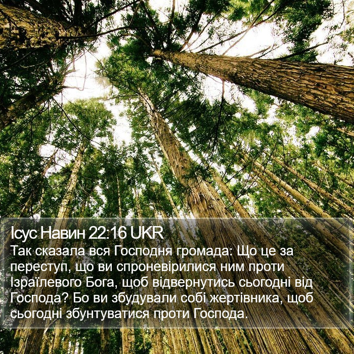 Ісус Навин 22:16 UKR Bible Study