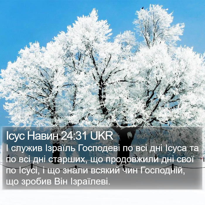 Ісус Навин 24:31 UKR Bible Study