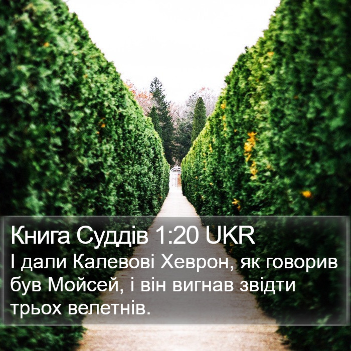 Книга Суддів 1:20 UKR Bible Study