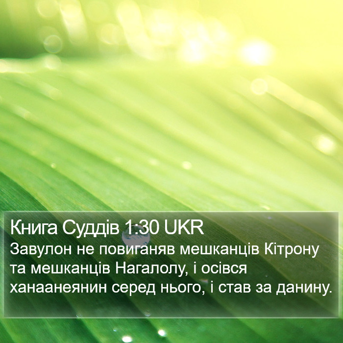 Книга Суддів 1:30 UKR Bible Study