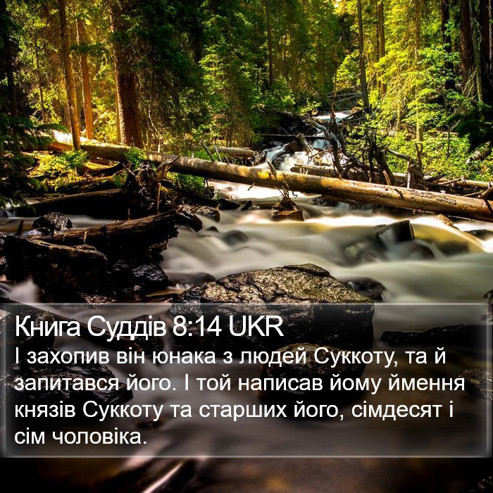 Книга Суддів 8:14 UKR Bible Study