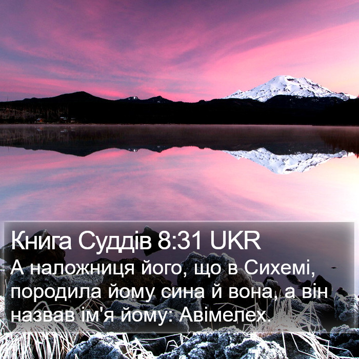 Книга Суддів 8:31 UKR Bible Study