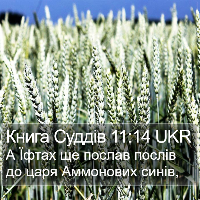 Книга Суддів 11:14 UKR Bible Study