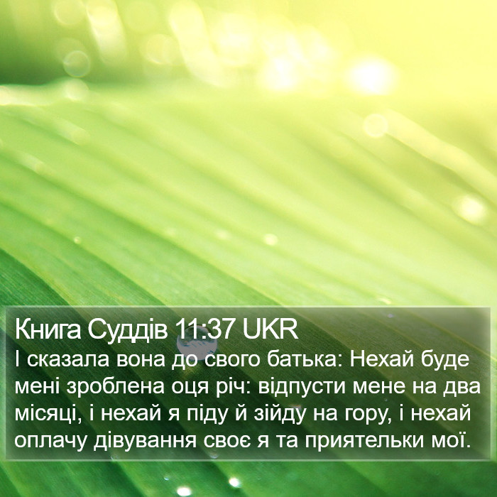 Книга Суддів 11:37 UKR Bible Study