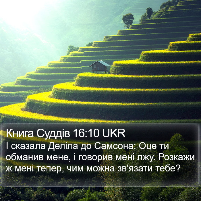 Книга Суддів 16:10 UKR Bible Study