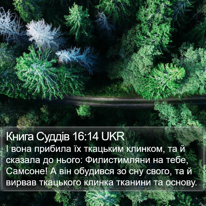 Книга Суддів 16:14 UKR Bible Study