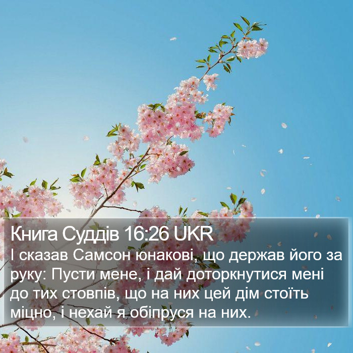 Книга Суддів 16:26 UKR Bible Study