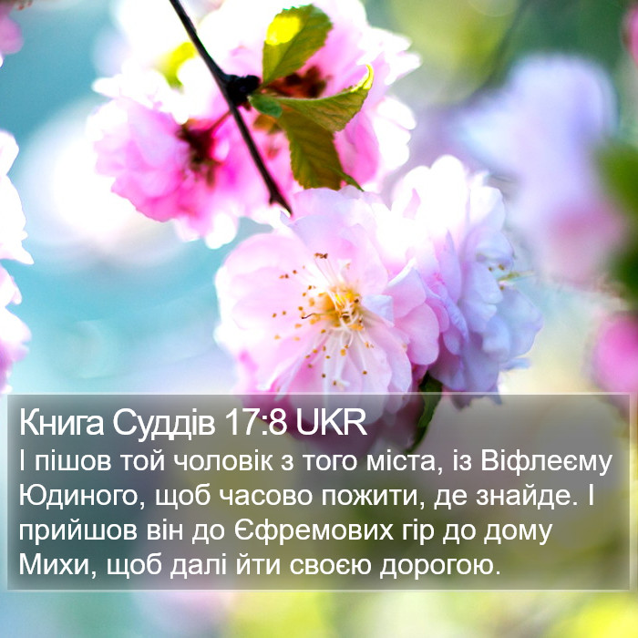 Книга Суддів 17:8 UKR Bible Study