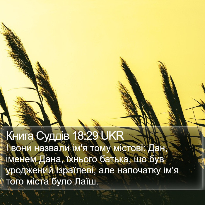 Книга Суддів 18:29 UKR Bible Study