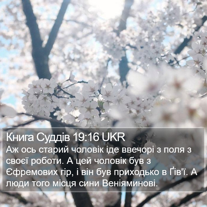 Книга Суддів 19:16 UKR Bible Study