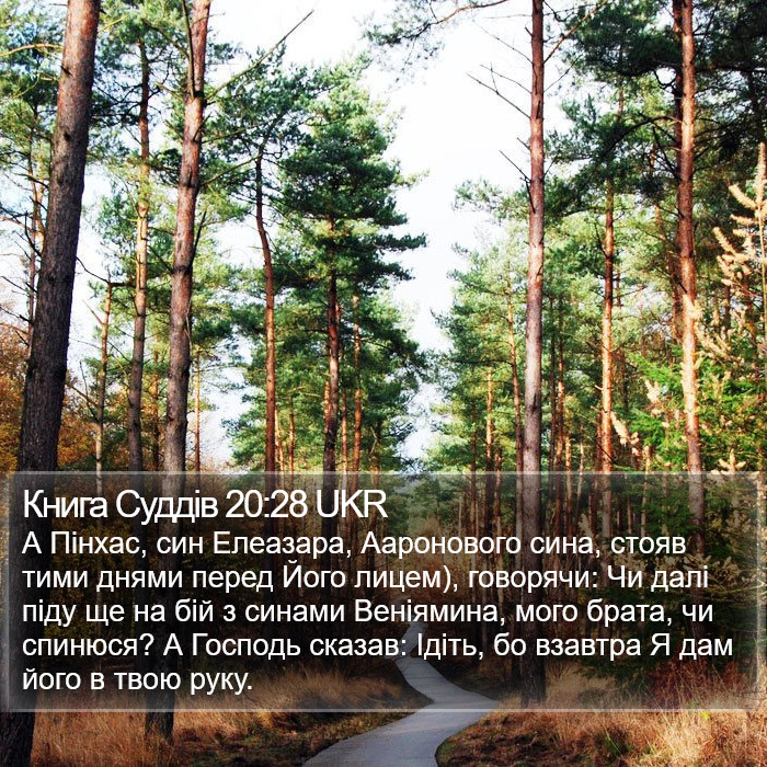 Книга Суддів 20:28 UKR Bible Study