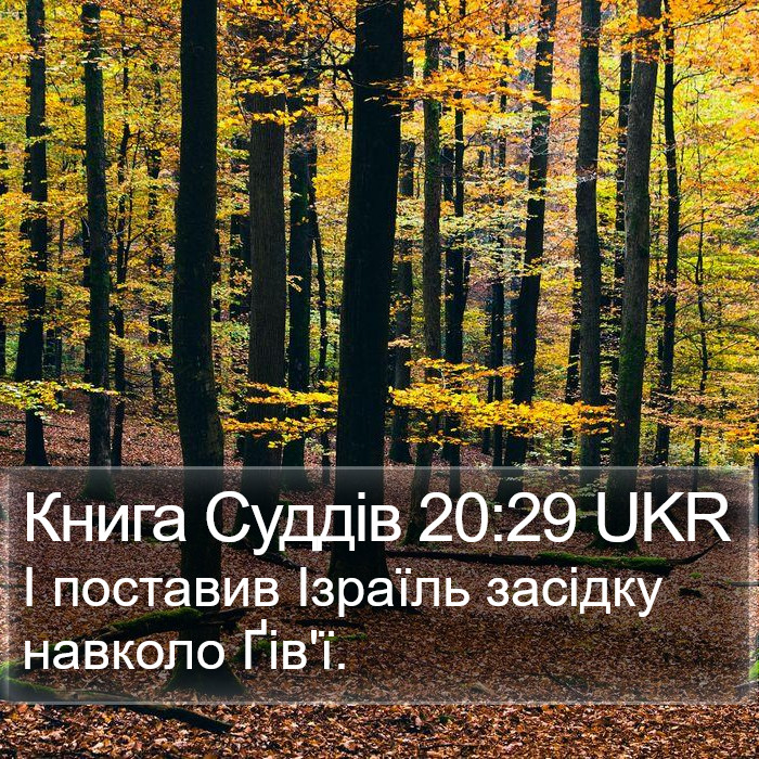 Книга Суддів 20:29 UKR Bible Study