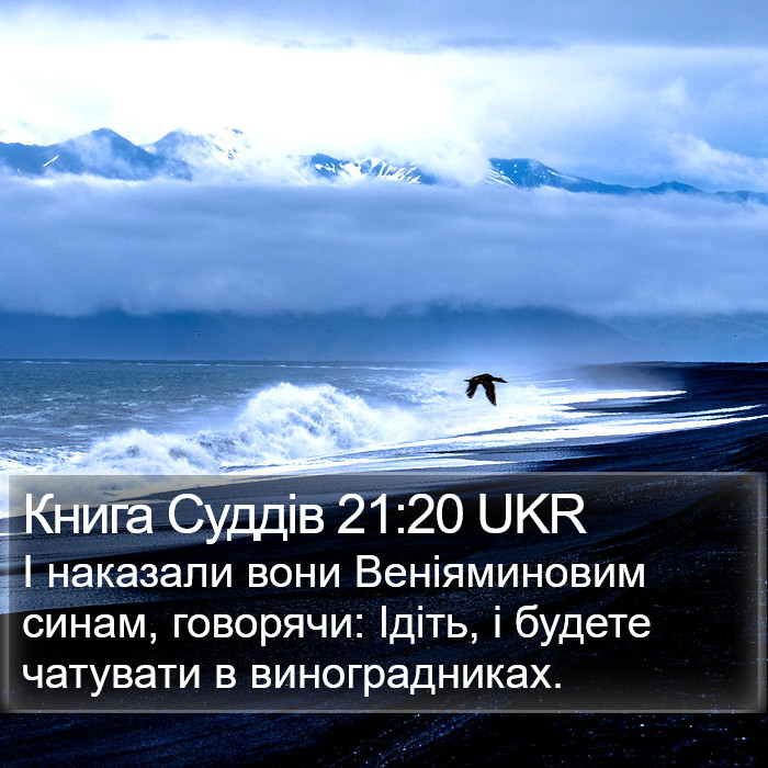 Книга Суддів 21:20 UKR Bible Study