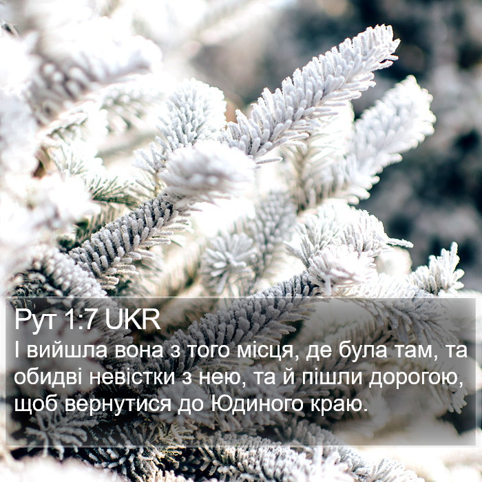 Рут 1:7 UKR Bible Study