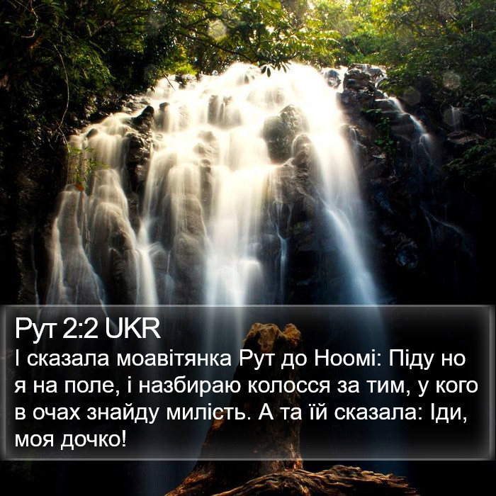 Рут 2:2 UKR Bible Study