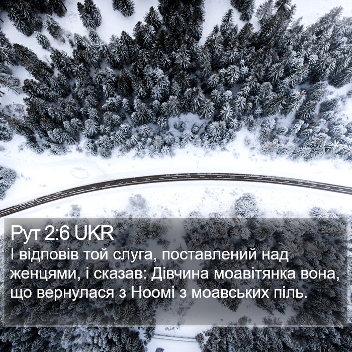 Рут 2:6 UKR Bible Study