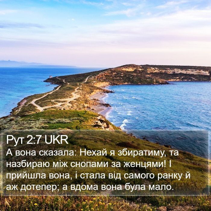 Рут 2:7 UKR Bible Study
