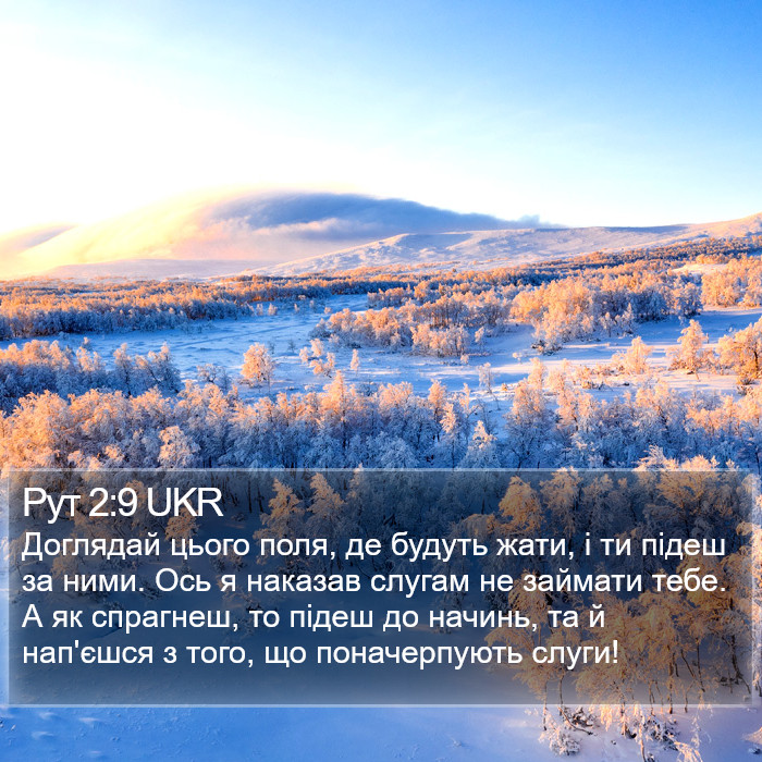 Рут 2:9 UKR Bible Study