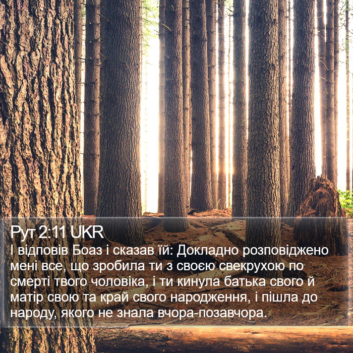 Рут 2:11 UKR Bible Study