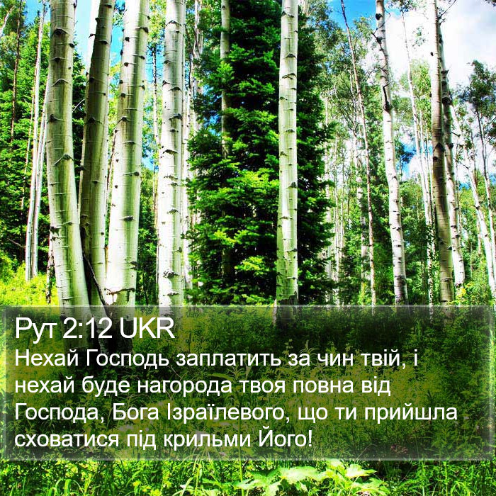 Рут 2:12 UKR Bible Study