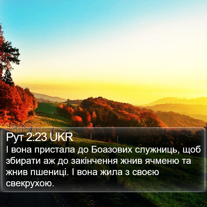 Рут 2:23 UKR Bible Study