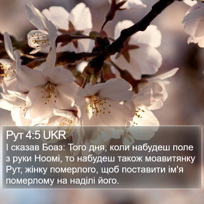 Рут 4:5 UKR Bible Study