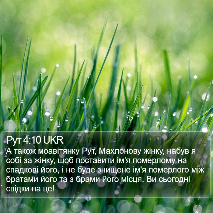Рут 4:10 UKR Bible Study