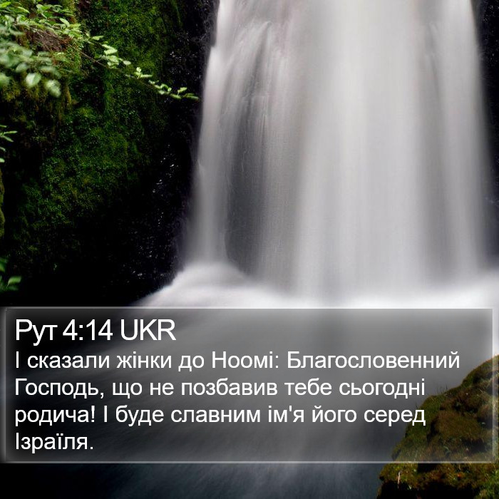 Рут 4:14 UKR Bible Study