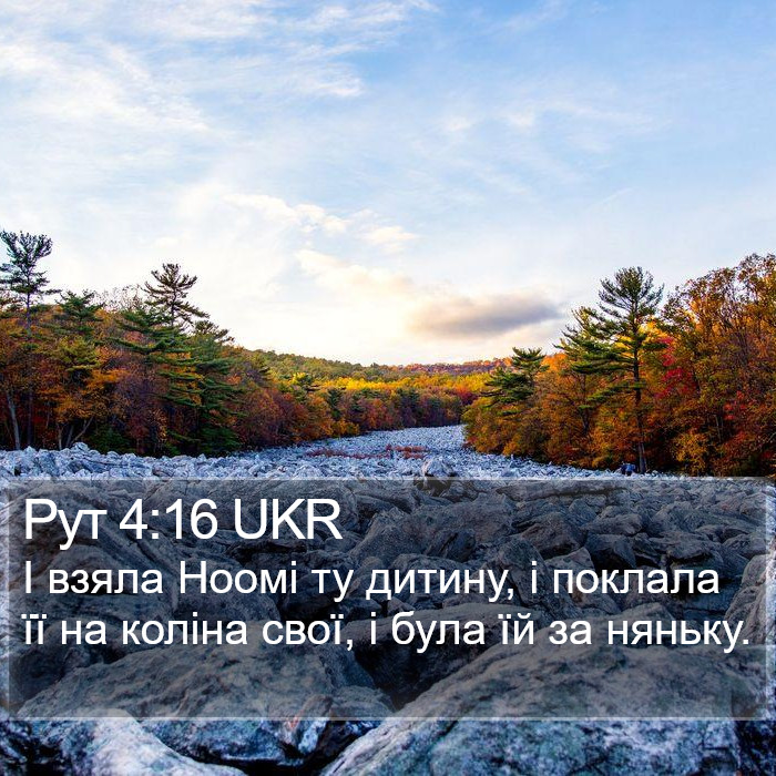 Рут 4:16 UKR Bible Study