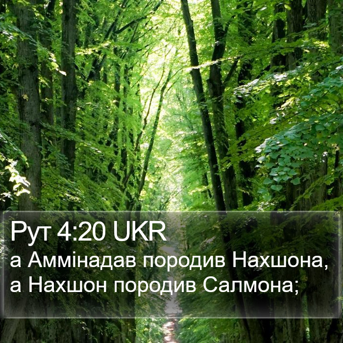 Рут 4:20 UKR Bible Study