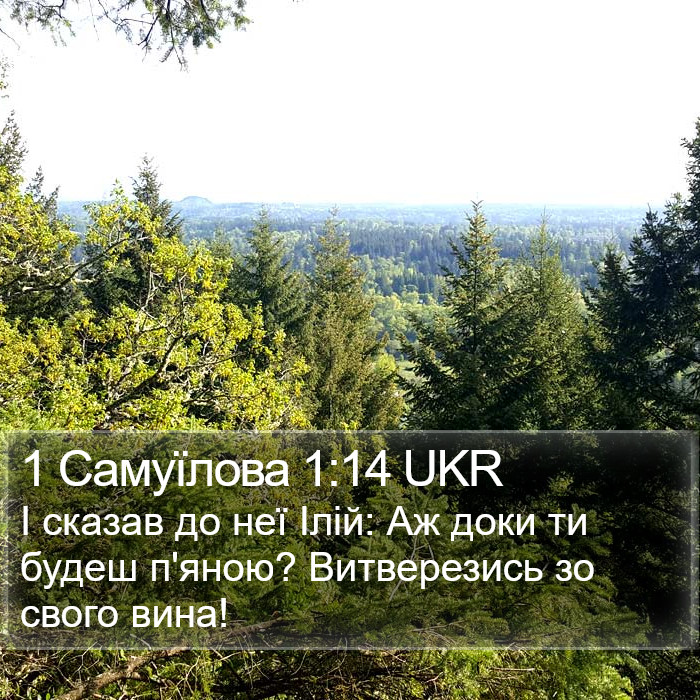 1 Самуїлова 1:14 UKR Bible Study