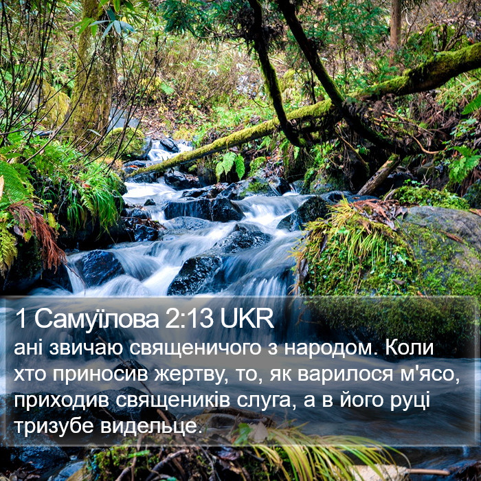 1 Самуїлова 2:13 UKR Bible Study