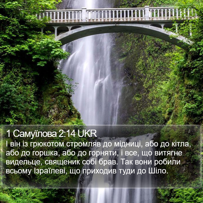 1 Самуїлова 2:14 UKR Bible Study