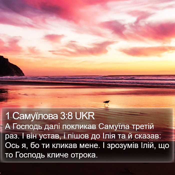 1 Самуїлова 3:8 UKR Bible Study