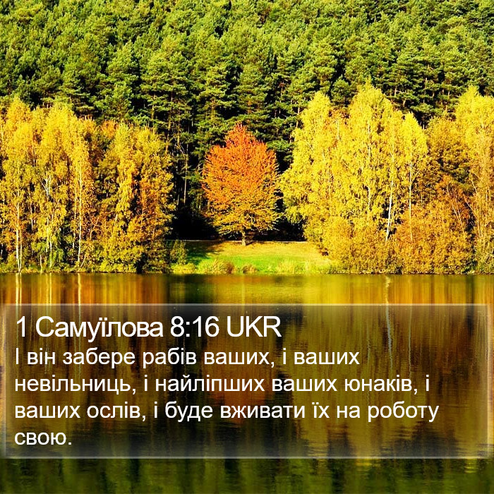 1 Самуїлова 8:16 UKR Bible Study
