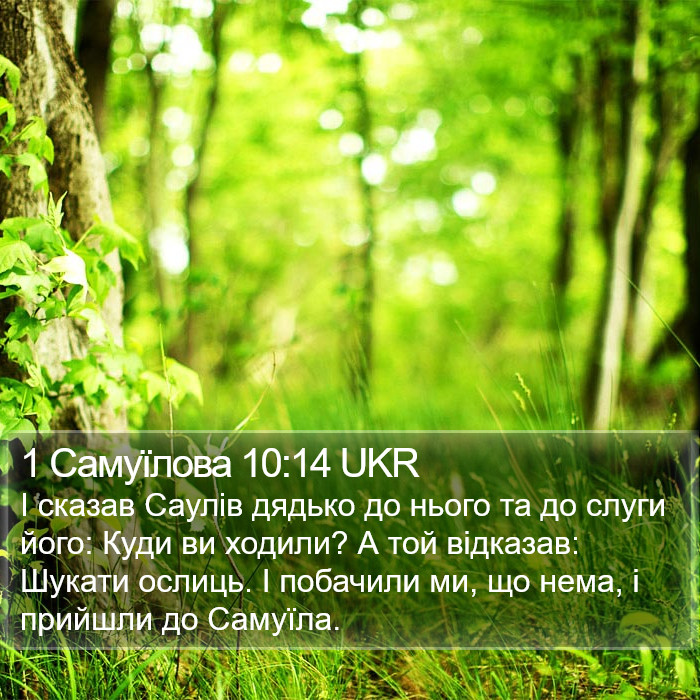 1 Самуїлова 10:14 UKR Bible Study