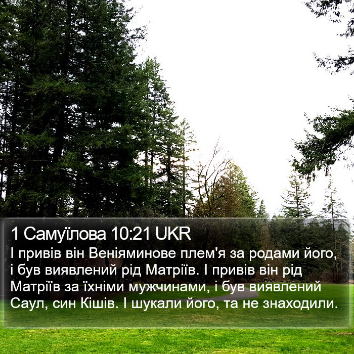 1 Самуїлова 10:21 UKR Bible Study