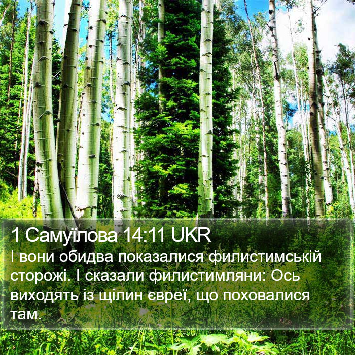 1 Самуїлова 14:11 UKR Bible Study