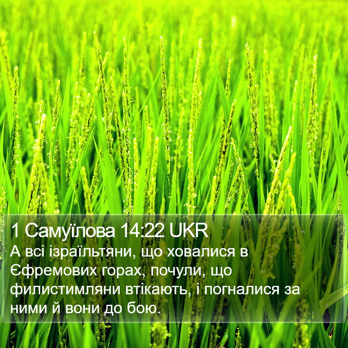 1 Самуїлова 14:22 UKR Bible Study