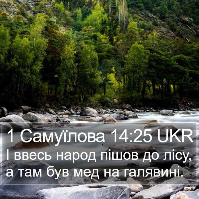 1 Самуїлова 14:25 UKR Bible Study