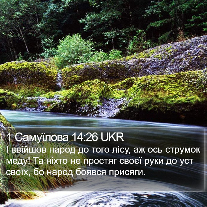 1 Самуїлова 14:26 UKR Bible Study