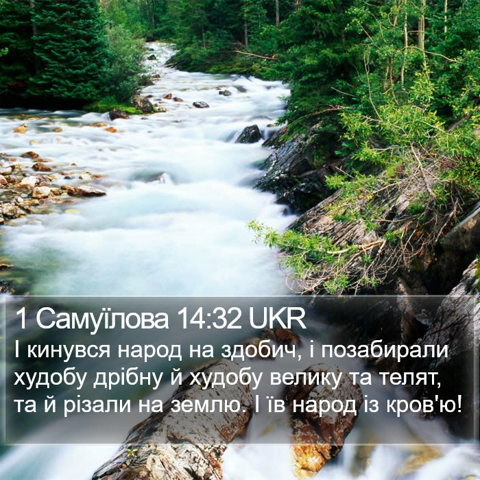 1 Самуїлова 14:32 UKR Bible Study