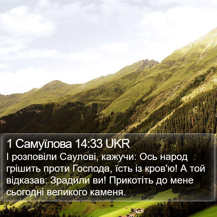 1 Самуїлова 14:33 UKR Bible Study