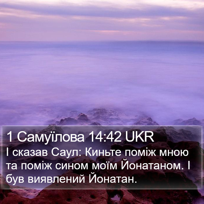 1 Самуїлова 14:42 UKR Bible Study