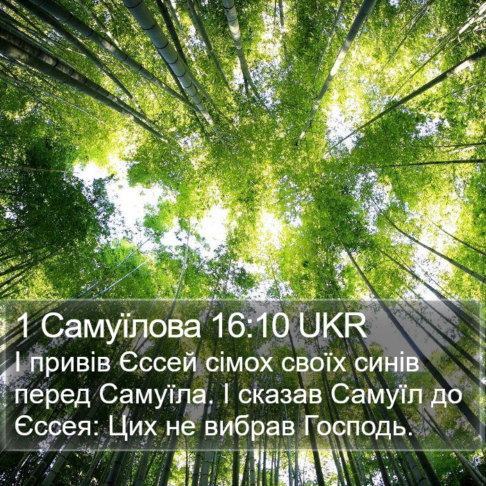 1 Самуїлова 16:10 UKR Bible Study