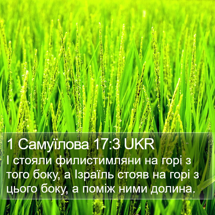 1 Самуїлова 17:3 UKR Bible Study